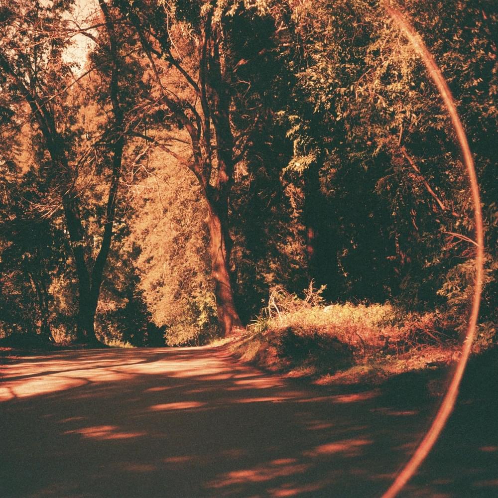 Album cover art for "Friday Night" by Beth Orton
