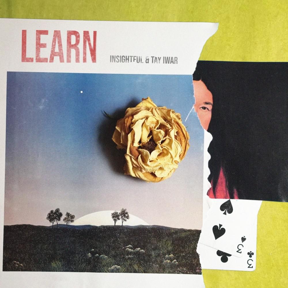 Learn by Insightful