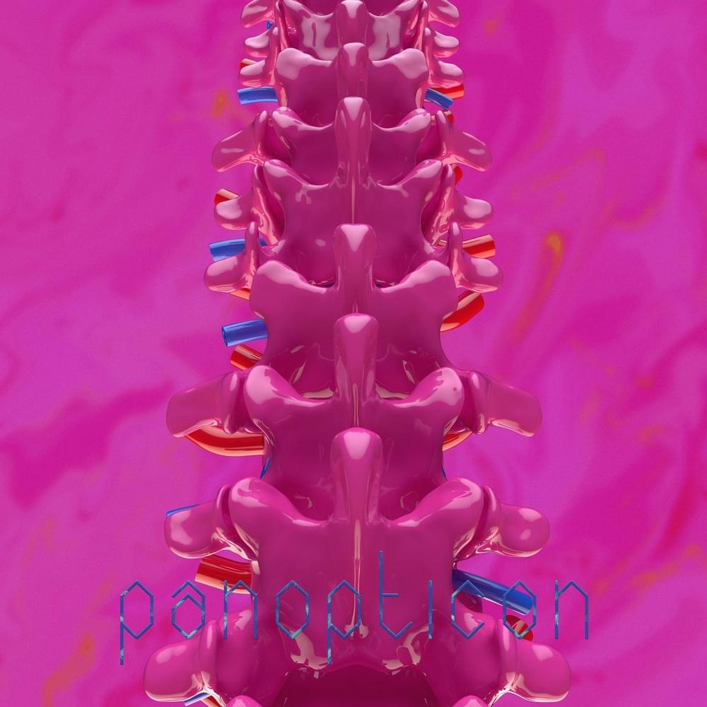 Album cover art for "panopticon" by 春ねむり (HARU NEMURI)