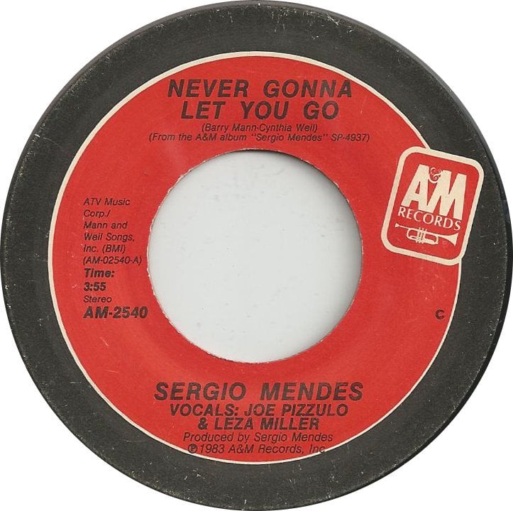 Never Gonna Let You Go by Joe Pizzulo