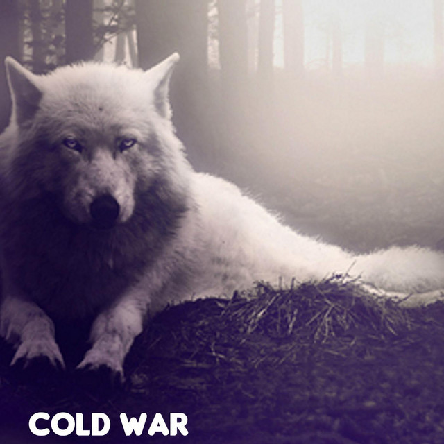 Cover image for Cold War