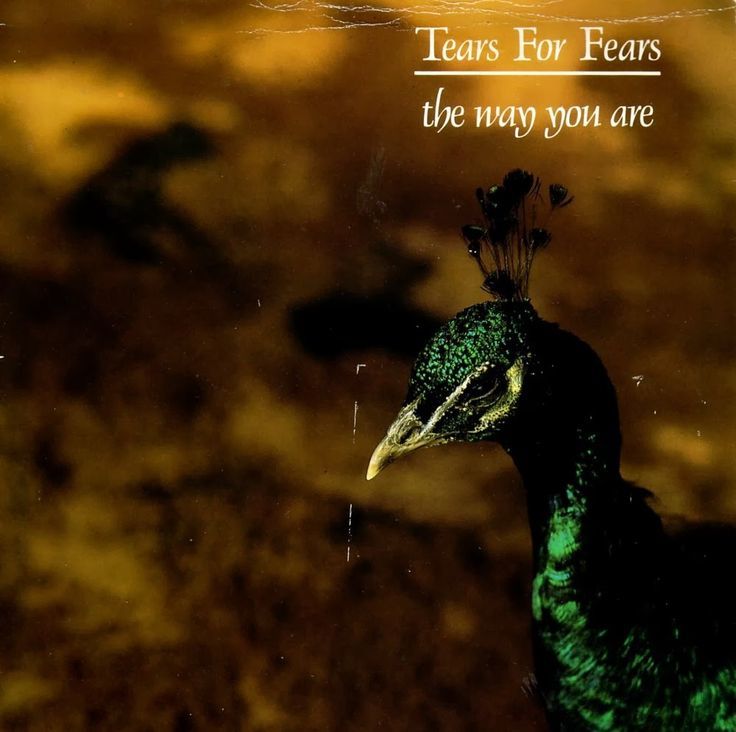 Album cover art for "The Marauders" by Tears for Fears