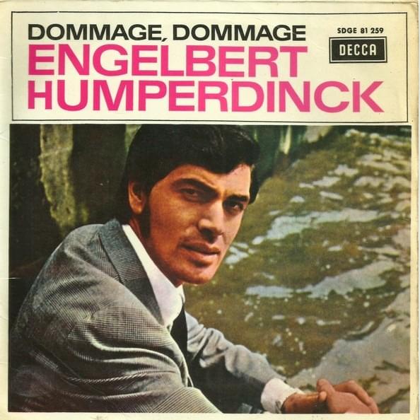 Cover image for Dommage, Dommage (EP)