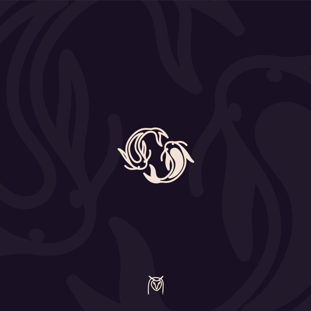 Album cover art for "The Counterpart" by Stasys