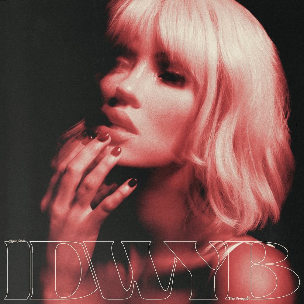 Cover image for IDWYB : The Prequel