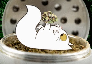 Album cover art for "Deutschrap-Kiffersongs zum 4/20" by Rap Genius Deutschland