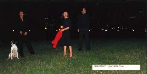 Album cover art for "NECESSARY" by Every Little Thing