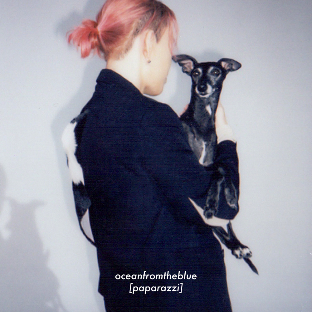 Album cover art for "PAPARAZZI" by oceanfromtheblue