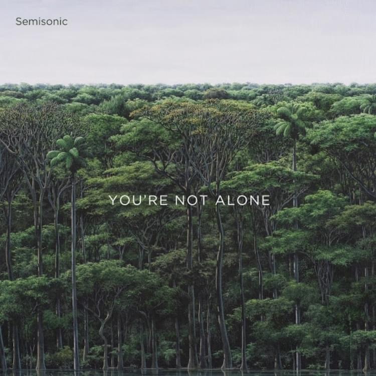 You’re Not Alone by Semisonic