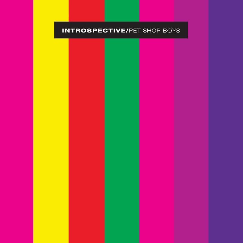 Cover image for Introspective