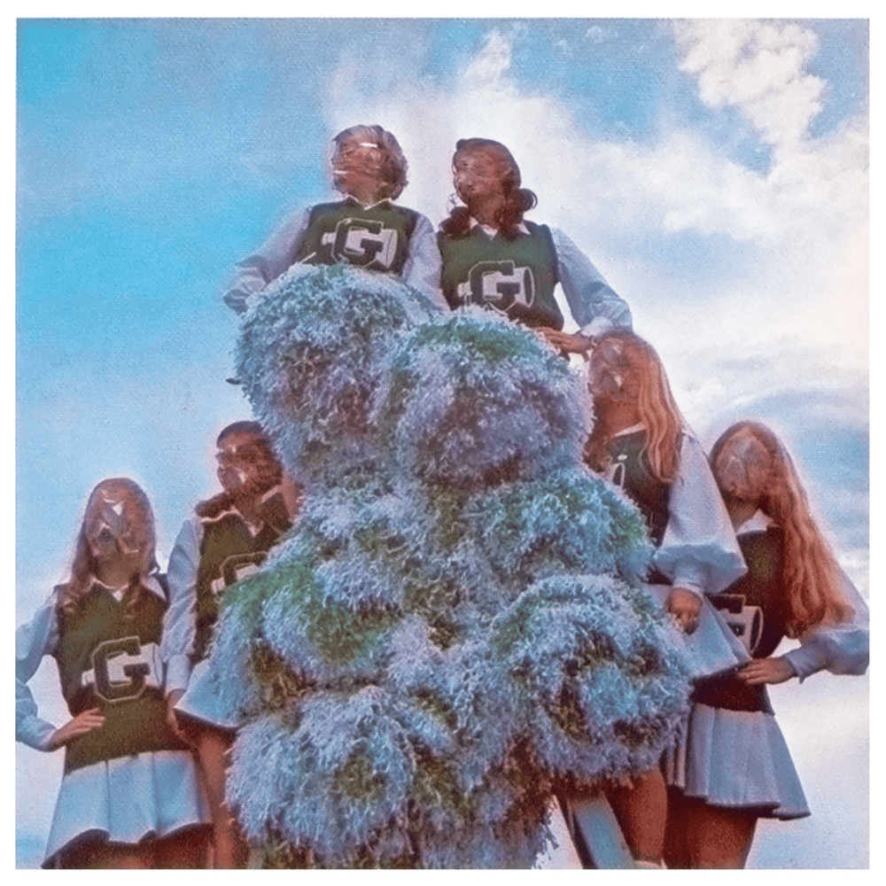 Album cover art for "Crown on the Ground" by Sleigh Bells