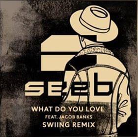 Album cover art for "What Do You Love (SWIING Remix)" by Seeb & Jacob Banks