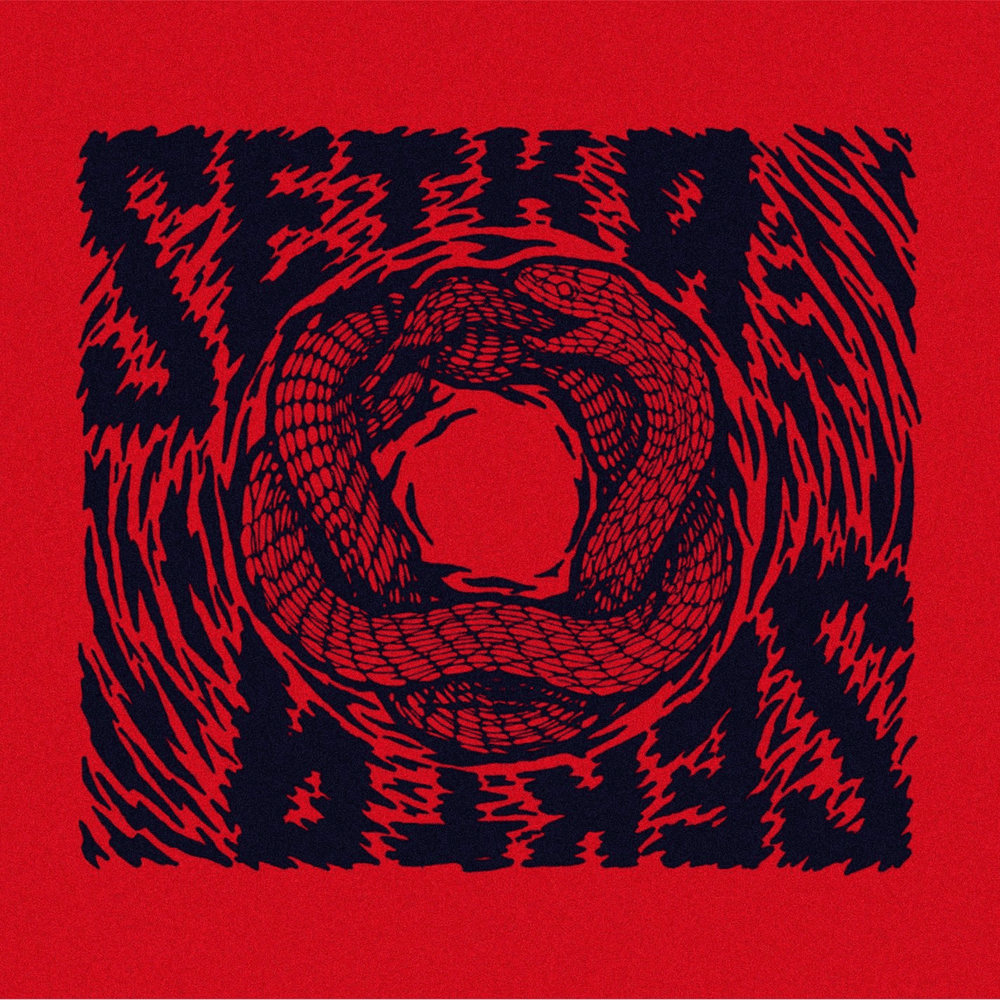 Cover image for Setka sekta