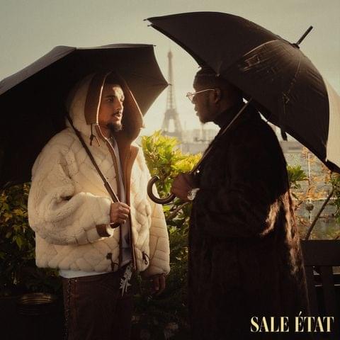 Album cover art for "SALE ÉTAT" by RK