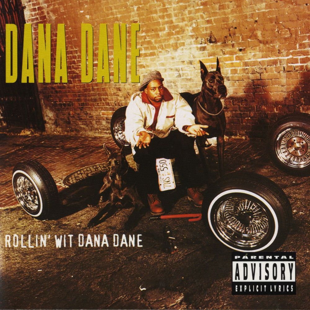 Cover image for Rollin’ Wit Dana Dane