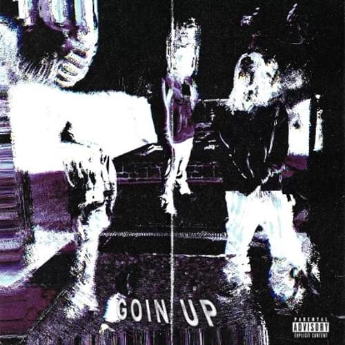 Album cover art for "Goin Up" by IceBirds