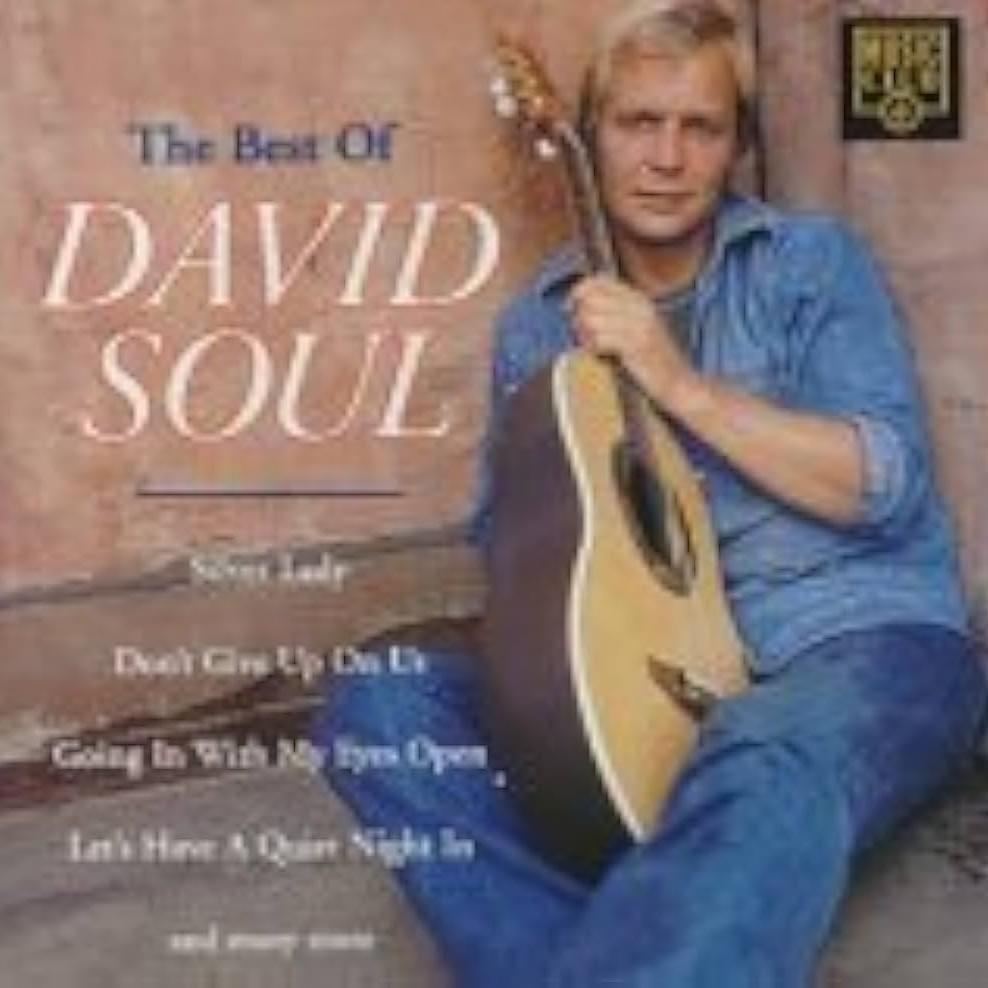 It Sure Brings Out The Love In Your Eyes by David Soul