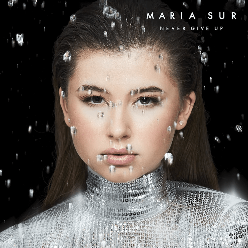 Never Give Up by Maria Sur
