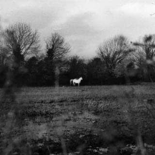 Cover image for ​when you run away, do you close your eyes