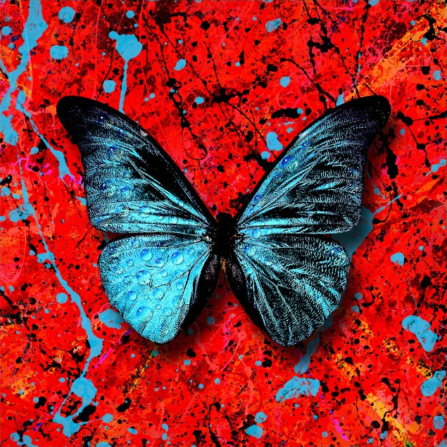 Album cover art for "Stop The Rain" by Ed Sheeran