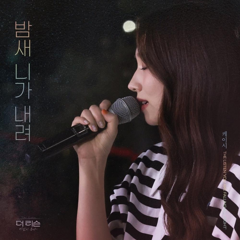 Cover image for 밤새 니가 내려 (You are falling all night)