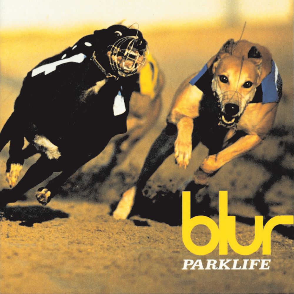 Album cover art for "Trouble in the Message Centre" by Blur