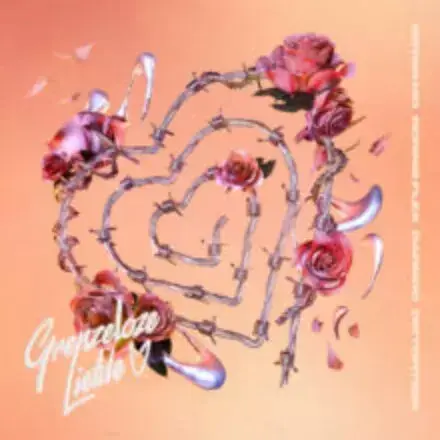 Album cover art for "Grenzeloze Liefde" by Bryan Mg & Diztortion & Darkoo & Ronnie Flex