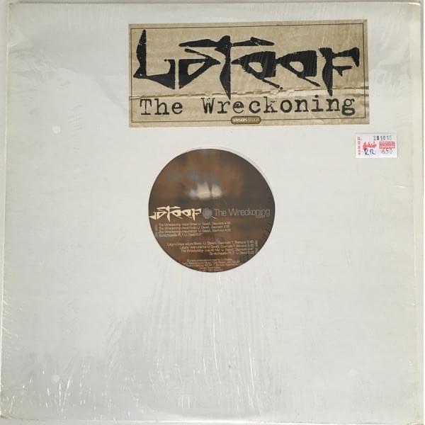 Cover image for The Wreckoning