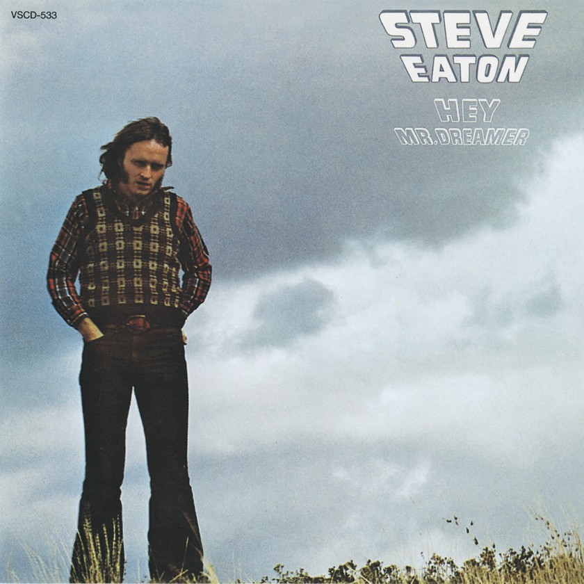 All You Get From Love Is A Love Song by Steve Eaton