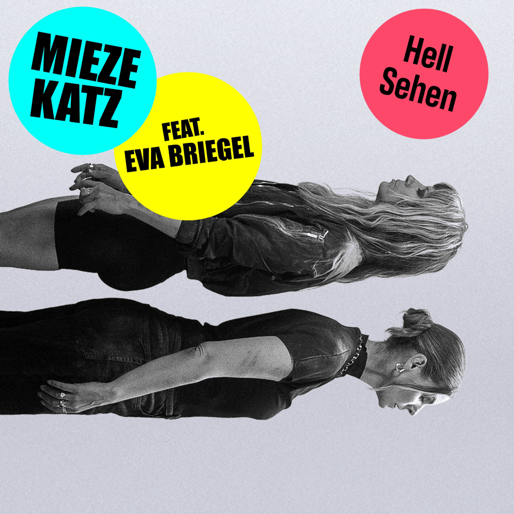 Album cover art for "HellSehen" by Mieze Katz