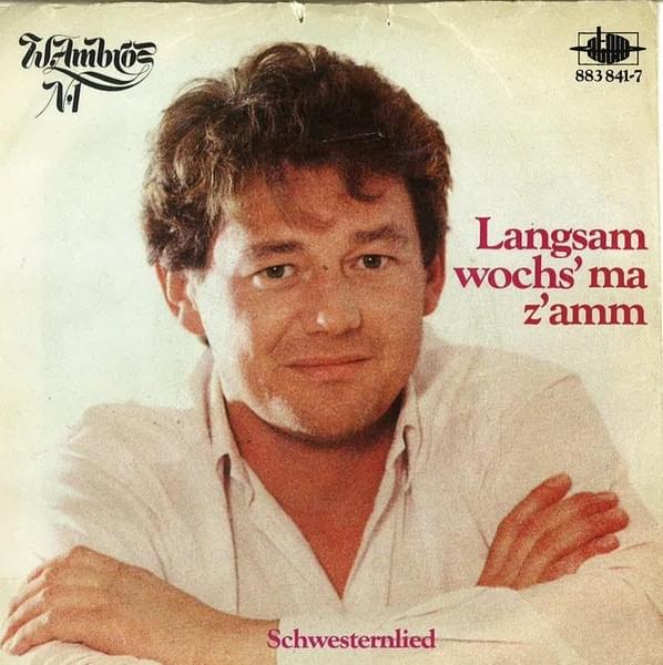Album cover art for "Langsam wochs’ ma z’amm" by Wolfgang Ambros