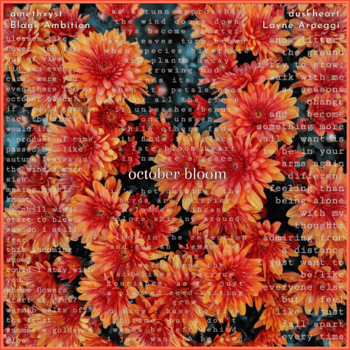 Album cover art for "october bloom" by Amethxyst