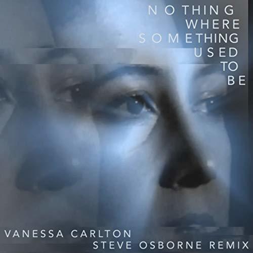 Album cover art for "Nothing Where Something Used to Be" by Vanessa Carlton