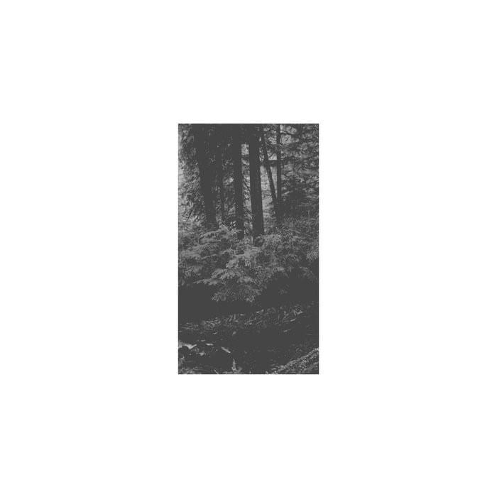 Hard by Clarity