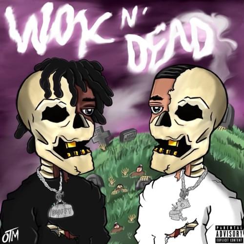 Album cover art for "Nasty (Match My Sleek  Remix) [ChopNotSlop]" by OTM