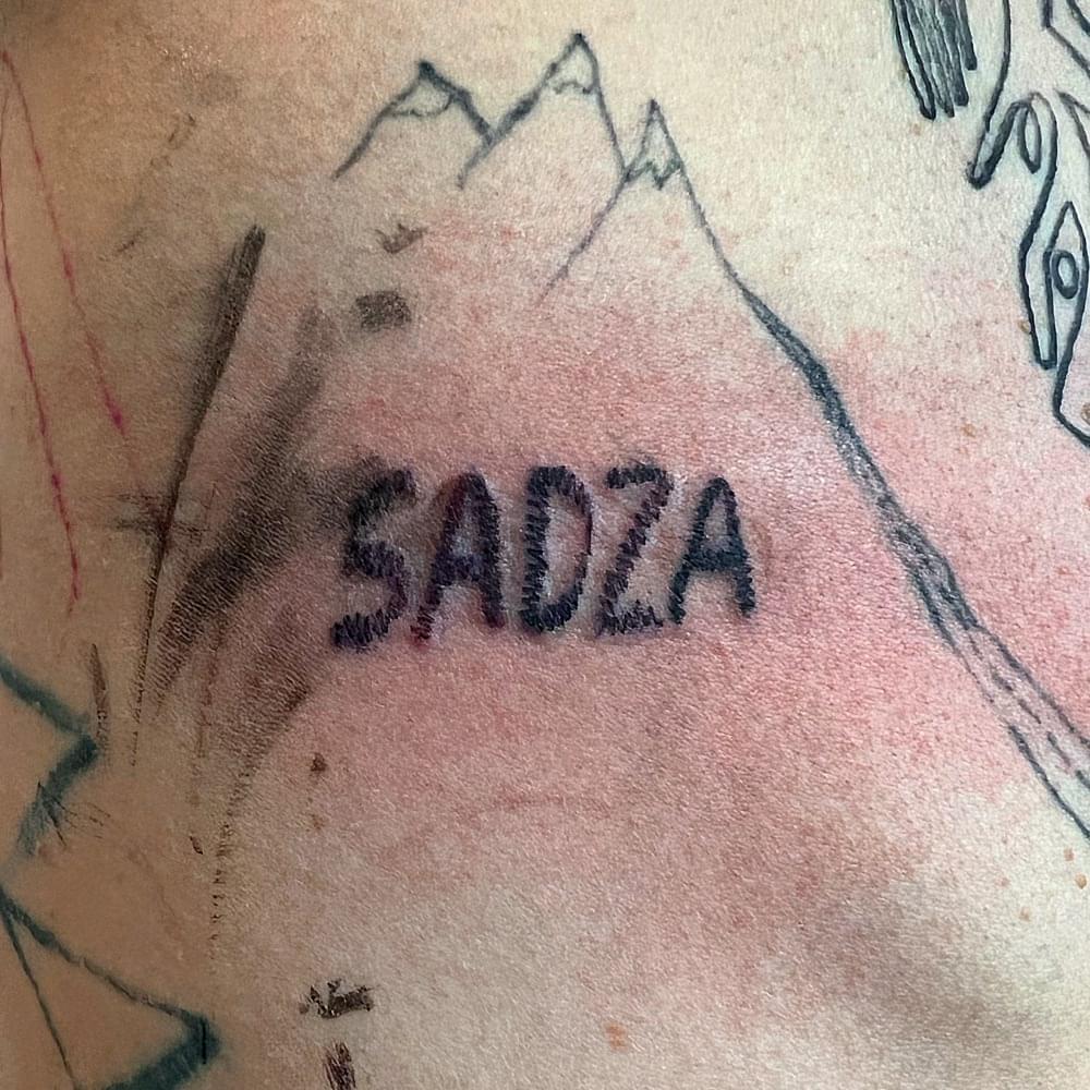 Album cover art for "Sadza" by Brodka