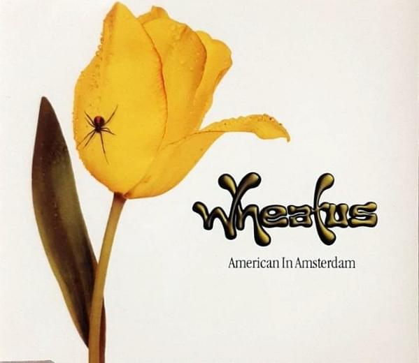 Album cover art for "American in Amsterdam" by Wheatus