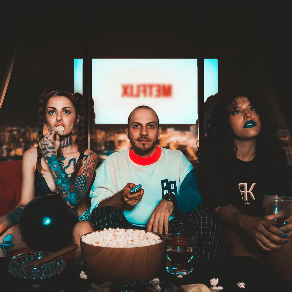 Cover image for METFLIX