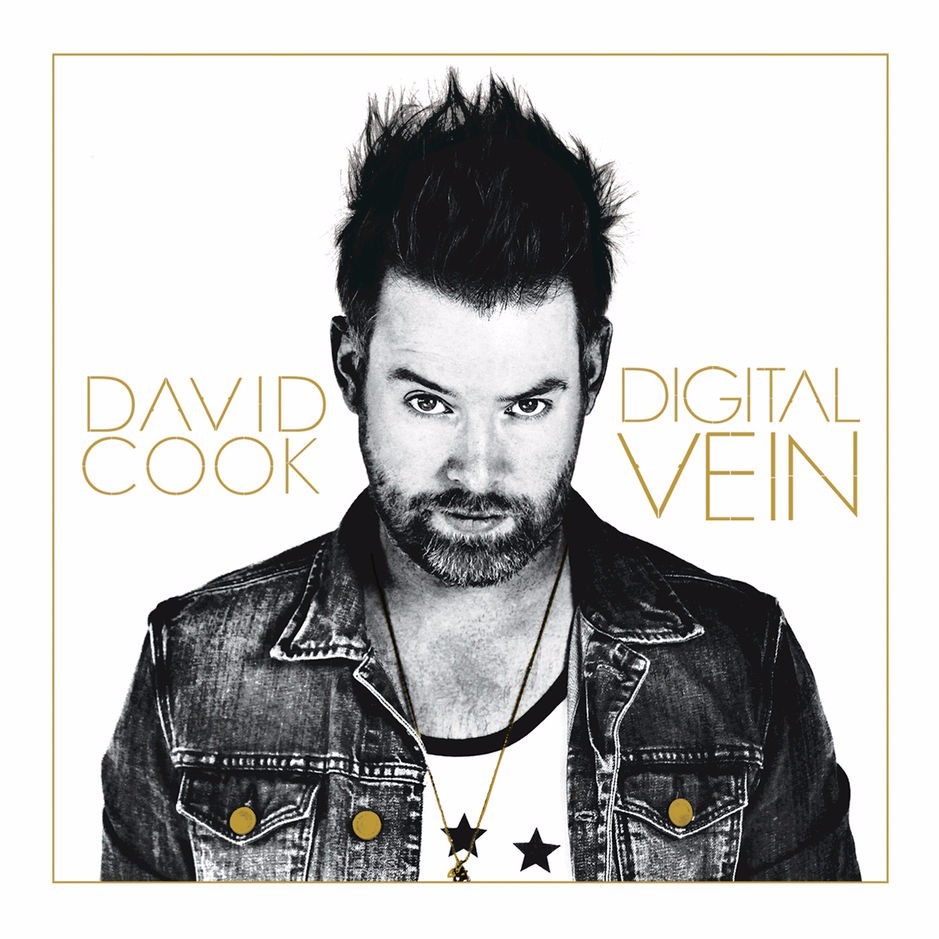 Cover image for Digital Vein