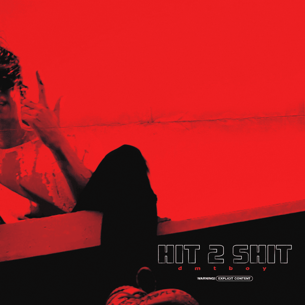 Album cover art for "HIT 2 SHIT" by dmtboy