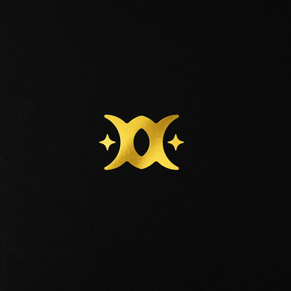 Cover image for STYXXX (Deluxe)
