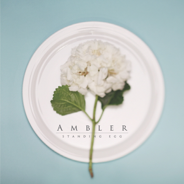 Cover image for Ambler