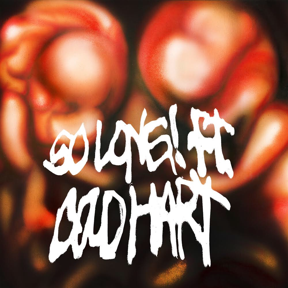 Album cover art for "SO LONG!" by fish narc & Cold Hart