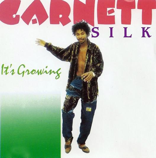 Place in Your Heart by Garnett Silk