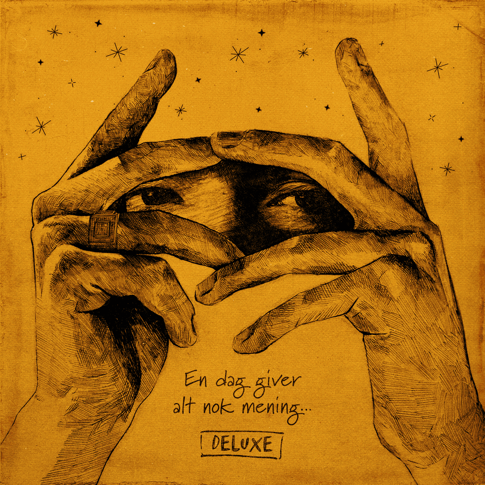 Album cover art for "Følelser" by Carmon & Jamaika