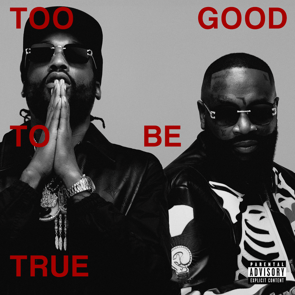 Cover image for Too Good To Be True