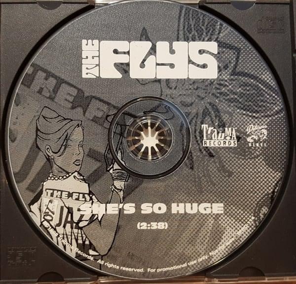 Album cover art for "She’s So Huge" by The Flys