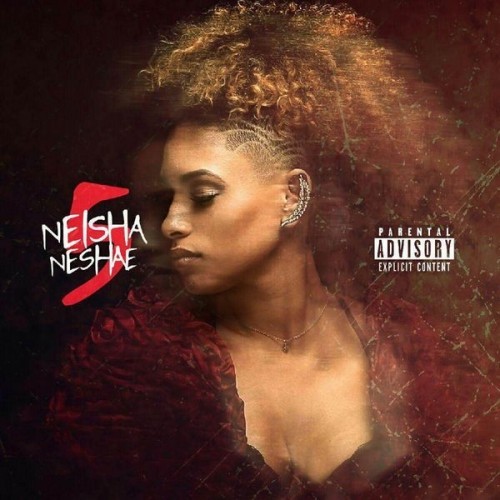 The Plug by Neisha Neshae