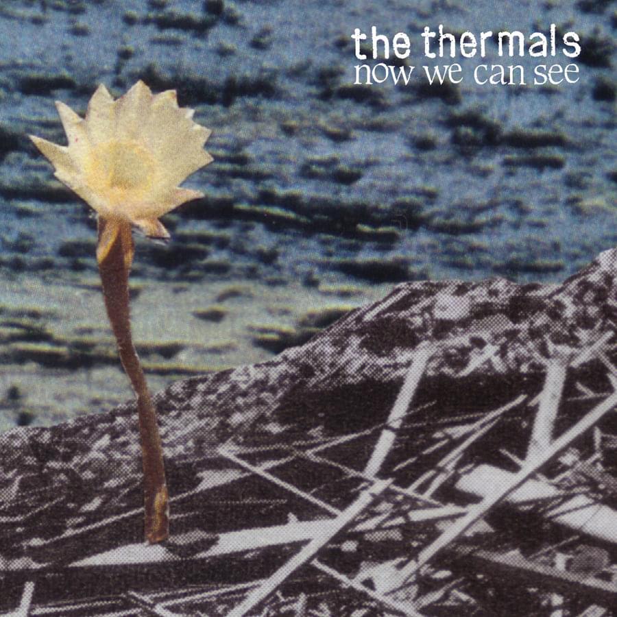 Album cover art for "Now We Can See" by The Thermals