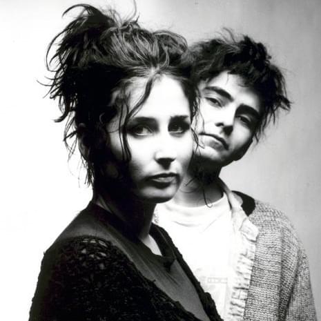Cover image for Swallow